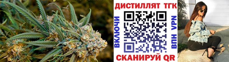 ТГК жижа  купить наркотики сайты  Шенкурск 